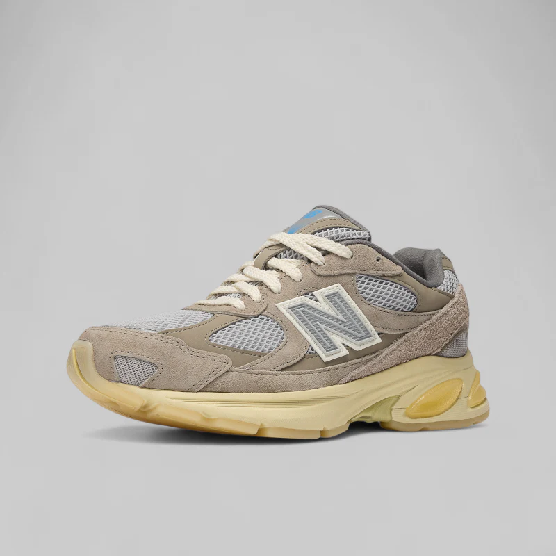 2010v1 "Grey Days" - Image 3
