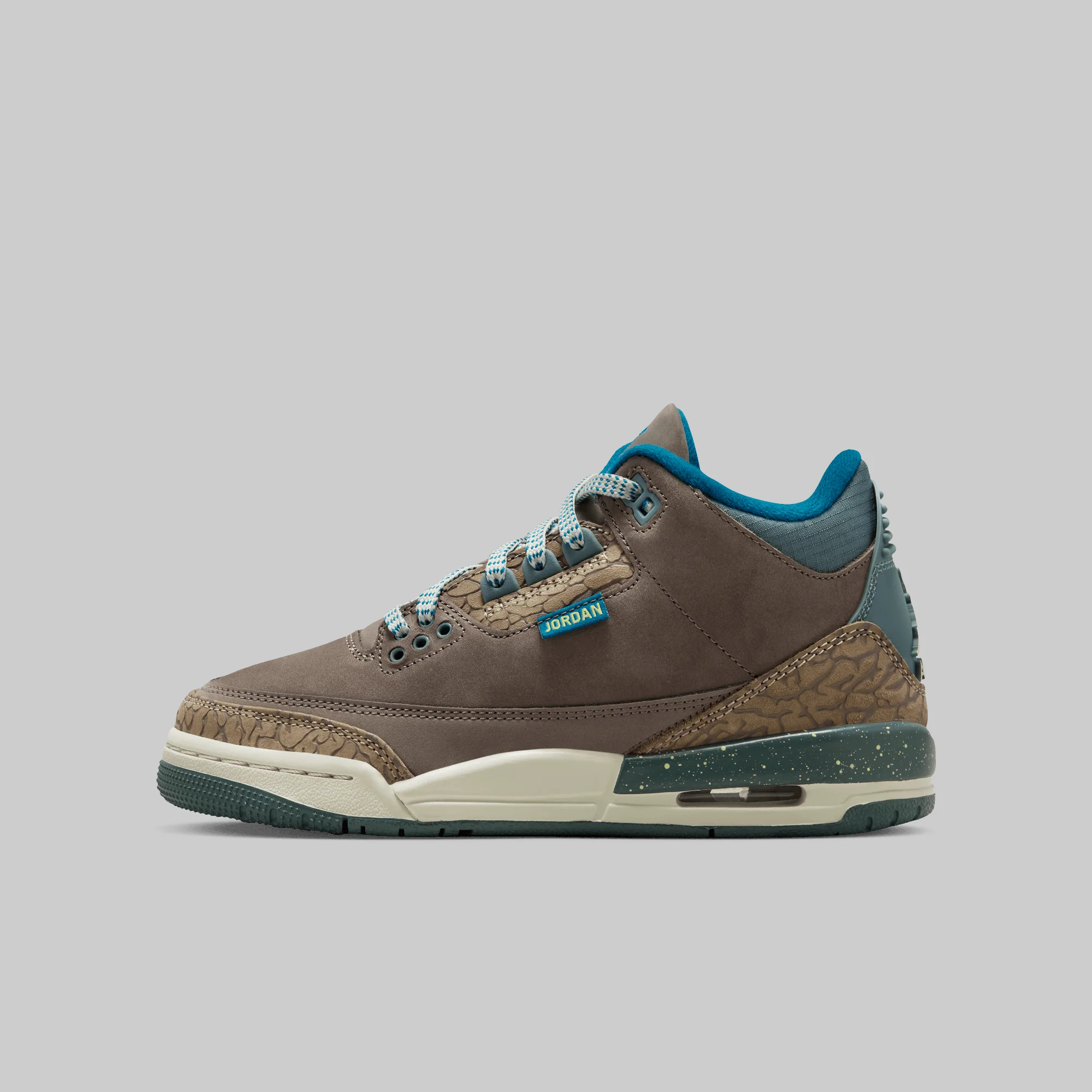 Air Jordan 3 Retro GS "We Outside"