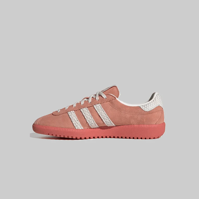 Women's Bermuda - Wonder Clay/Cloud White - Image 2